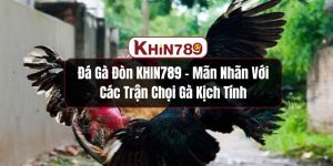 Đá Gà Đòn KHIN789 - Mãn Nhãn Với Các Trận Chọi Gà Kịch Tính